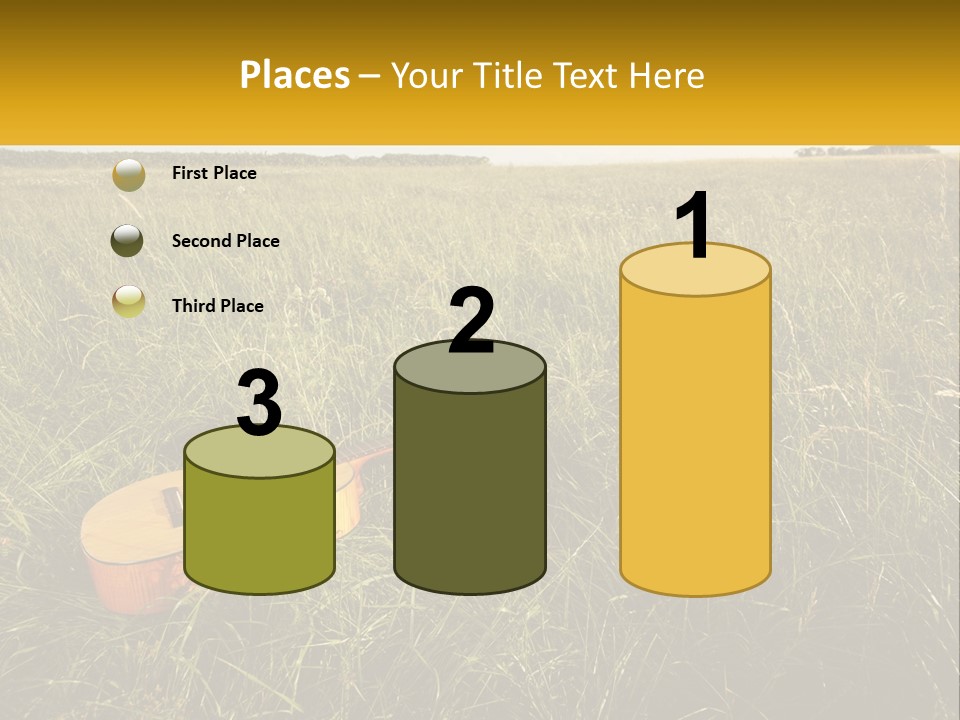 A Guitar In A Field Of Tall Grass PowerPoint Template