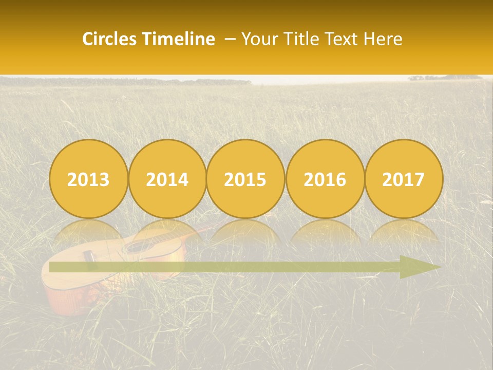 A Guitar In A Field Of Tall Grass PowerPoint Template