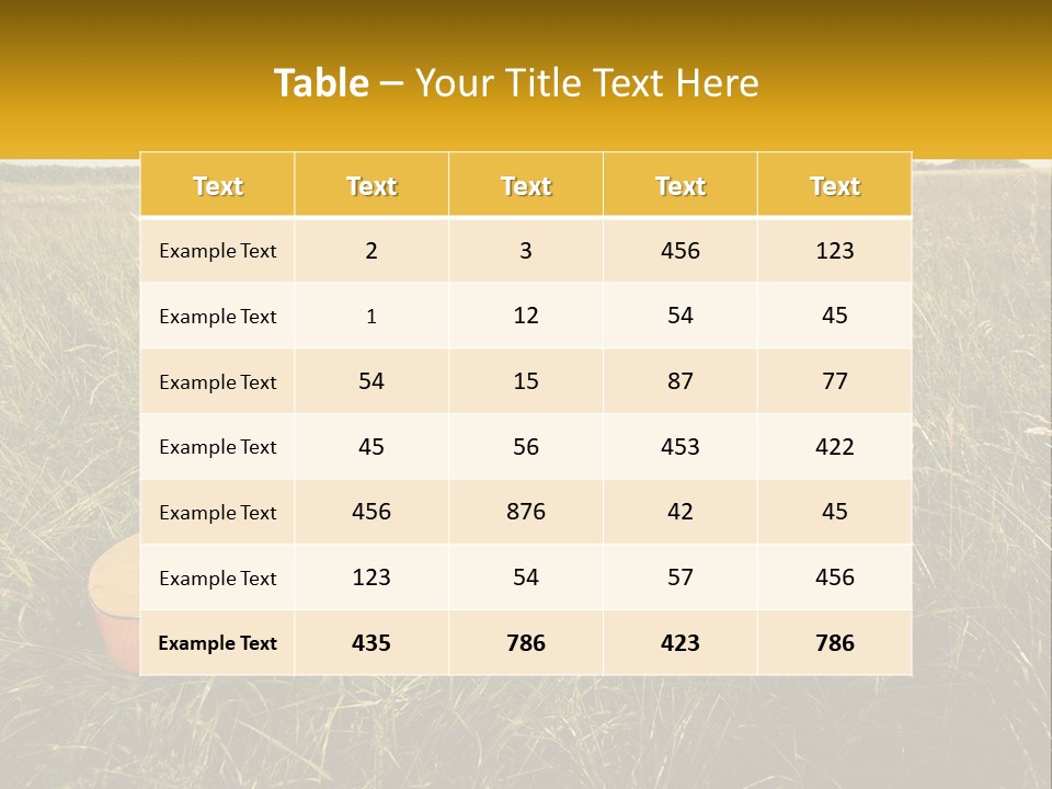 A Guitar In A Field Of Tall Grass PowerPoint Template