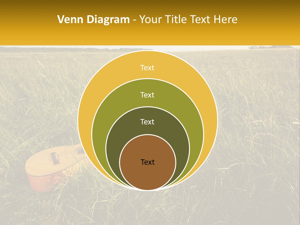 A Guitar In A Field Of Tall Grass PowerPoint Template