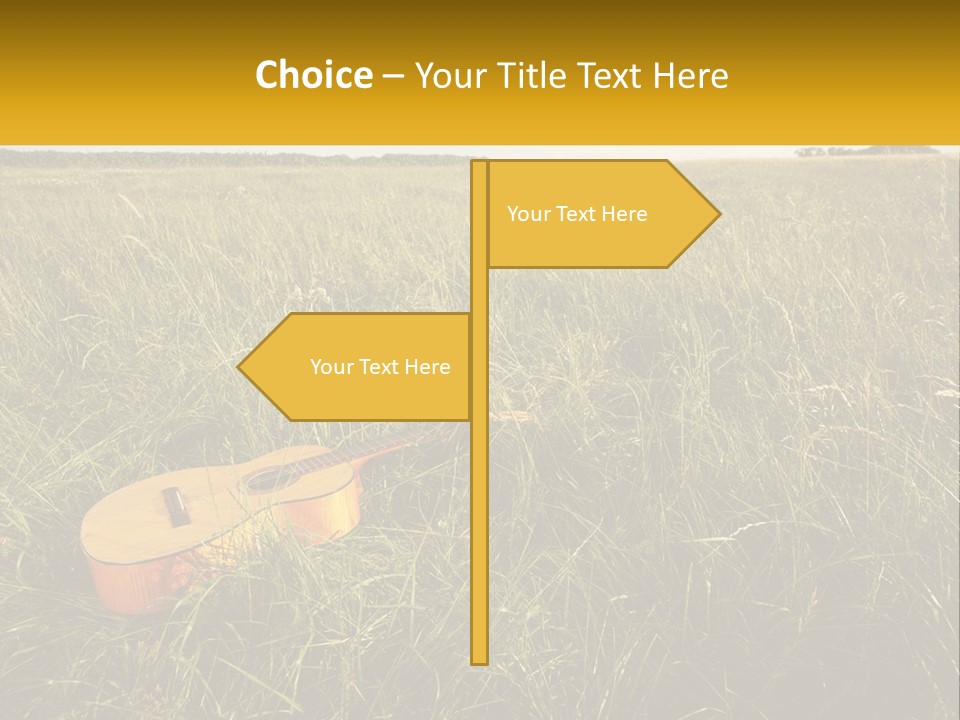 A Guitar In A Field Of Tall Grass PowerPoint Template