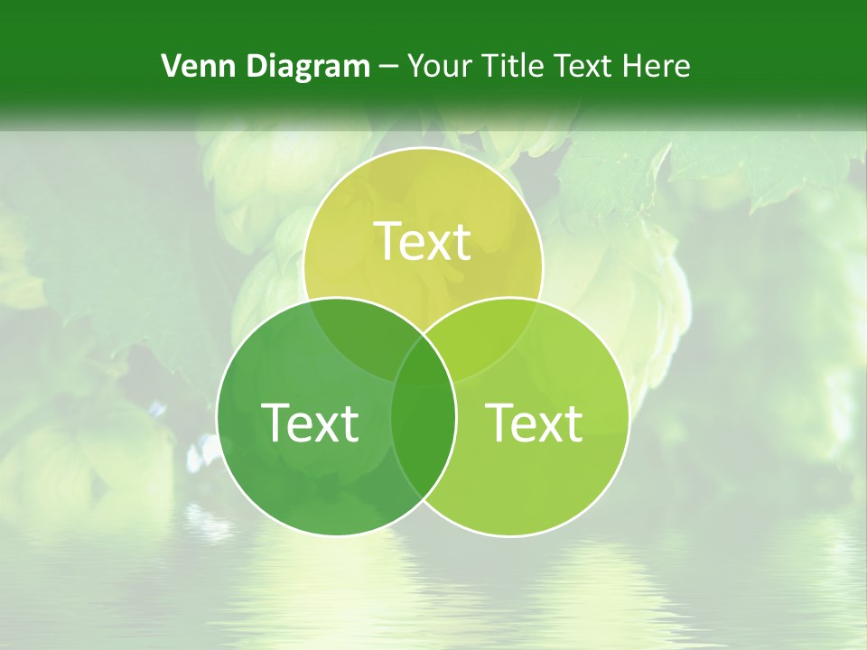 A Bunch Of Green Hops Hanging From A Tree PowerPoint Template