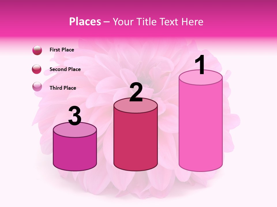 A Large Pink Flower On A White Background PowerPoint Template