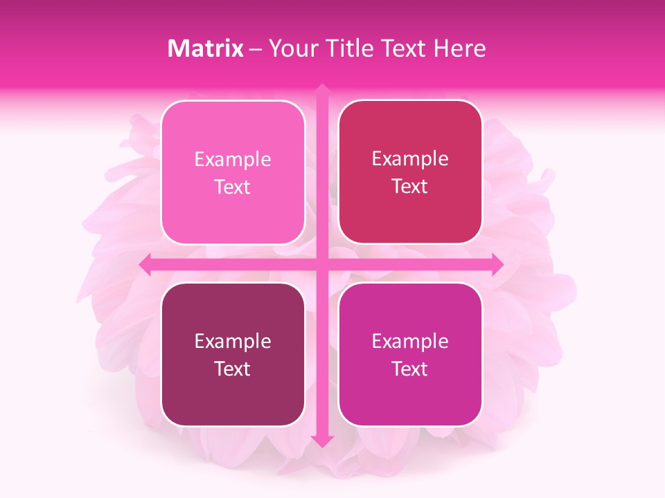 A Large Pink Flower On A White Background PowerPoint Template