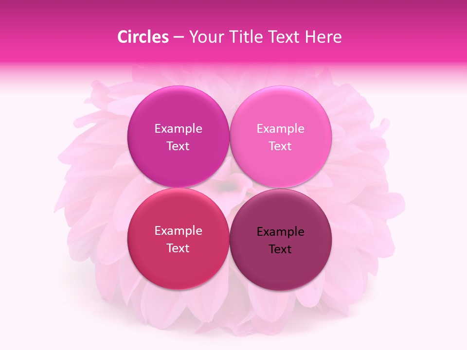 A Large Pink Flower On A White Background PowerPoint Template