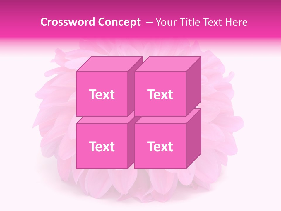 A Large Pink Flower On A White Background PowerPoint Template