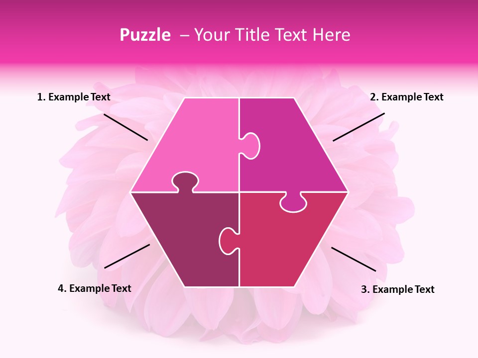 A Large Pink Flower On A White Background PowerPoint Template