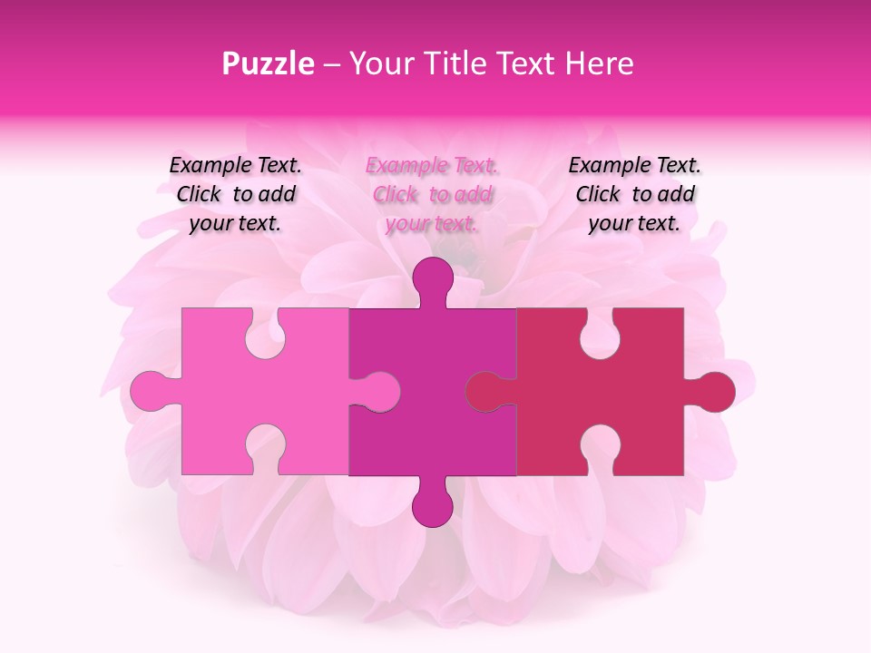 A Large Pink Flower On A White Background PowerPoint Template