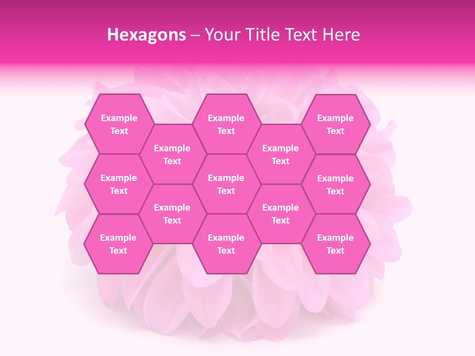 A Large Pink Flower On A White Background PowerPoint Template