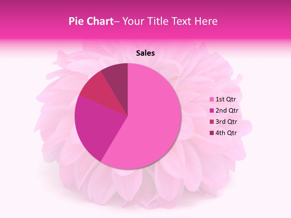 A Large Pink Flower On A White Background PowerPoint Template