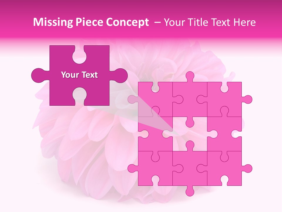 A Large Pink Flower On A White Background PowerPoint Template