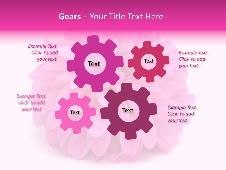 A Large Pink Flower On A White Background PowerPoint Template