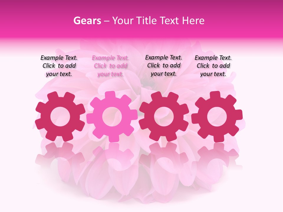 A Large Pink Flower On A White Background PowerPoint Template