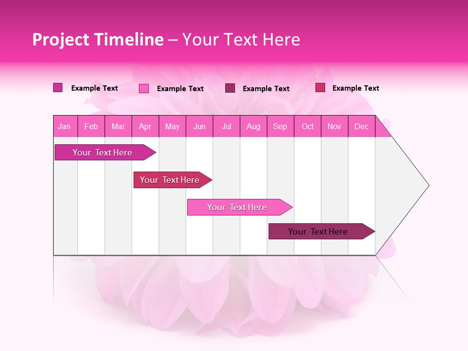 A Large Pink Flower On A White Background PowerPoint Template