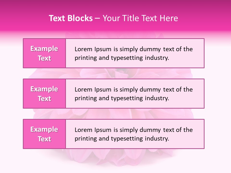 A Large Pink Flower On A White Background PowerPoint Template