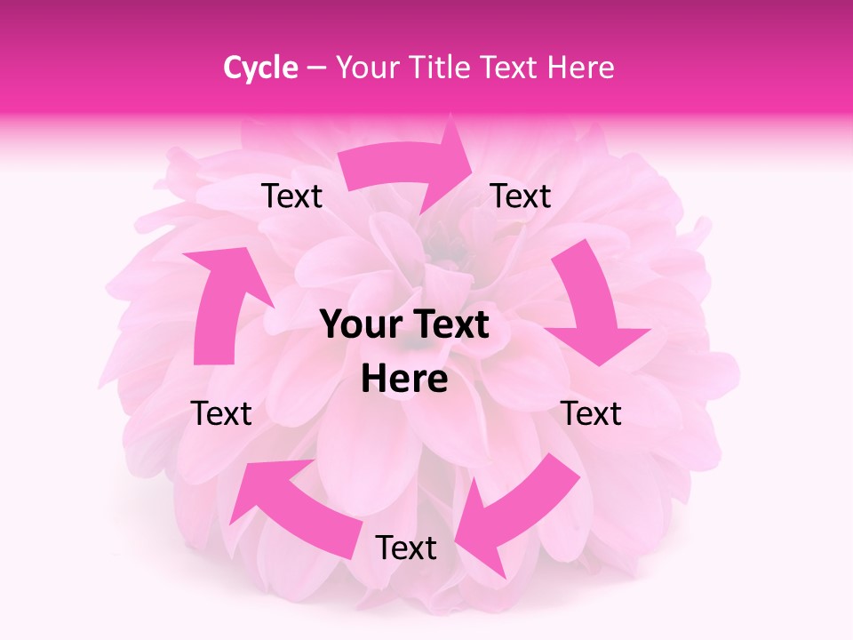 A Large Pink Flower On A White Background PowerPoint Template