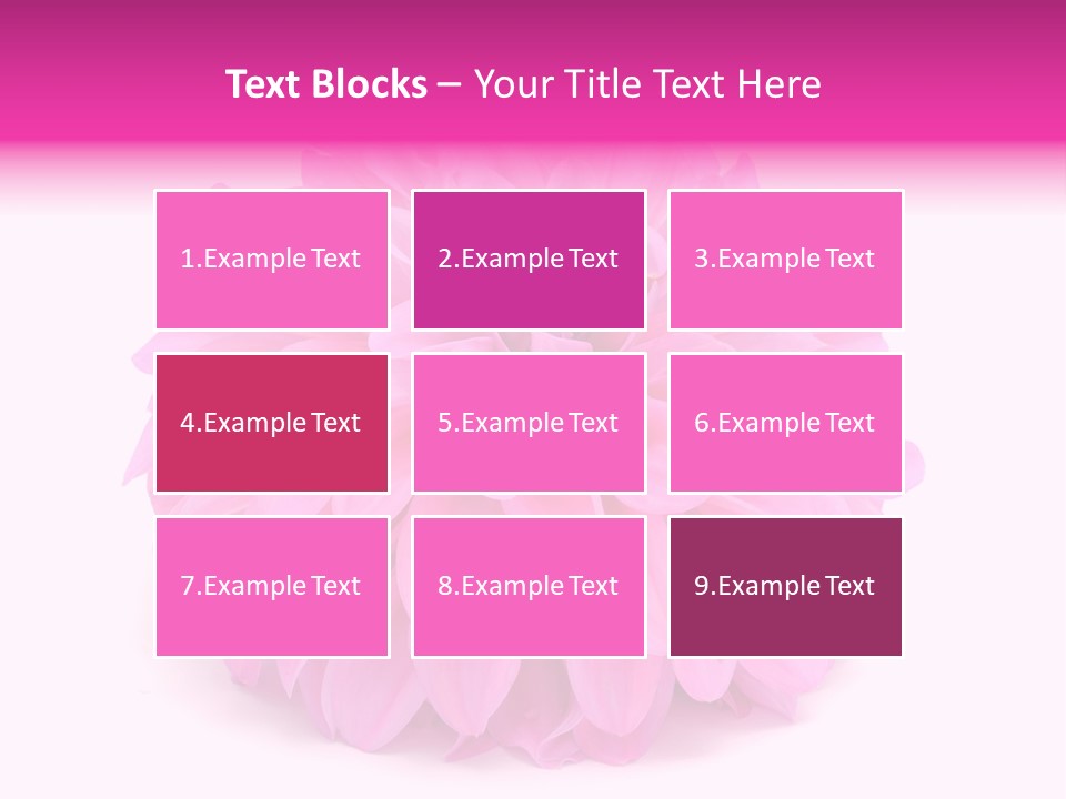 A Large Pink Flower On A White Background PowerPoint Template