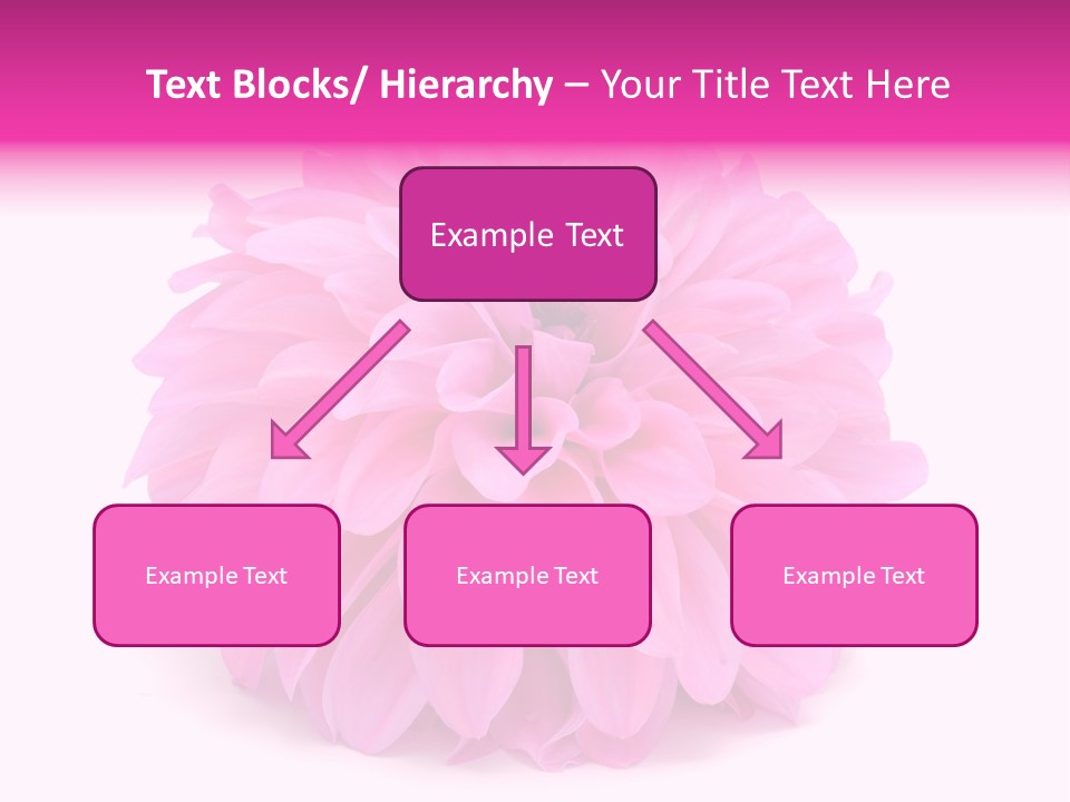A Large Pink Flower On A White Background PowerPoint Template