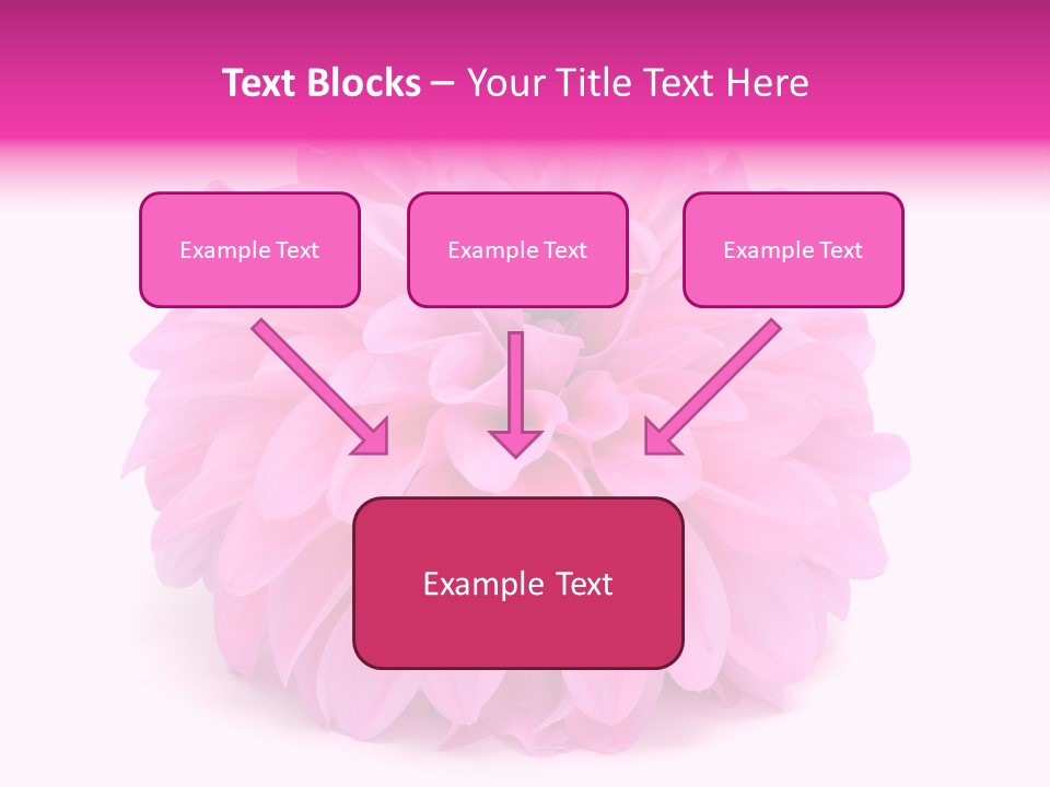 A Large Pink Flower On A White Background PowerPoint Template