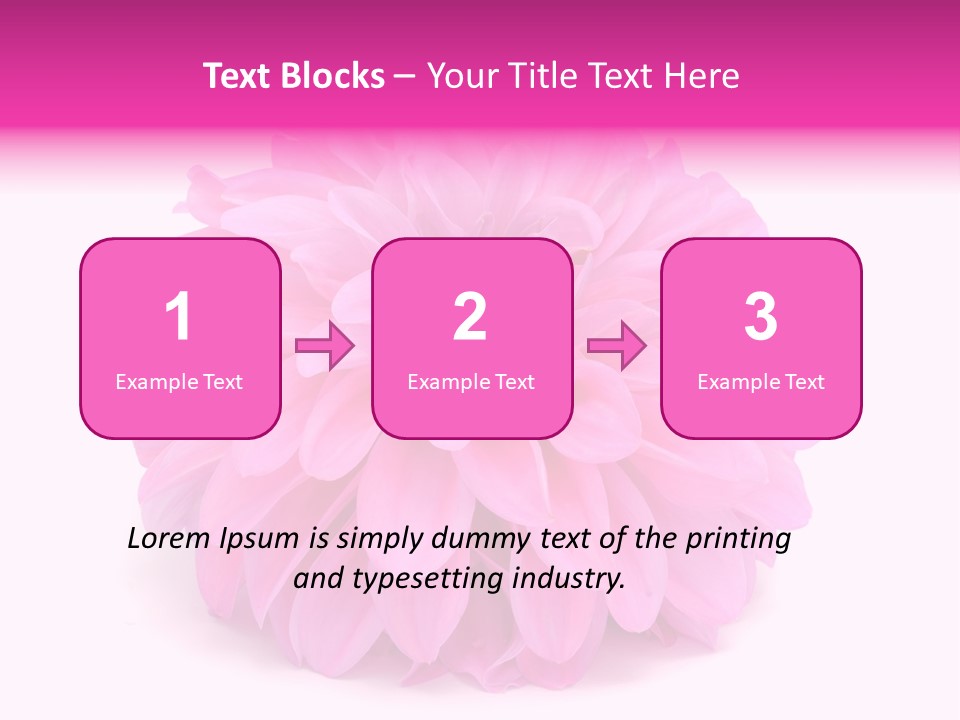 A Large Pink Flower On A White Background PowerPoint Template