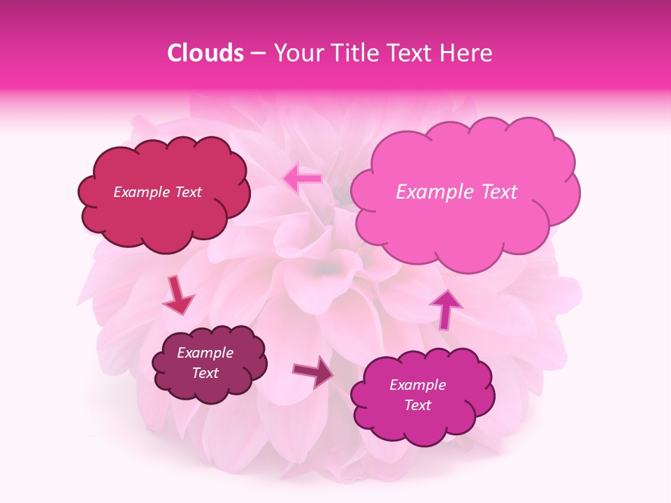 A Large Pink Flower On A White Background PowerPoint Template