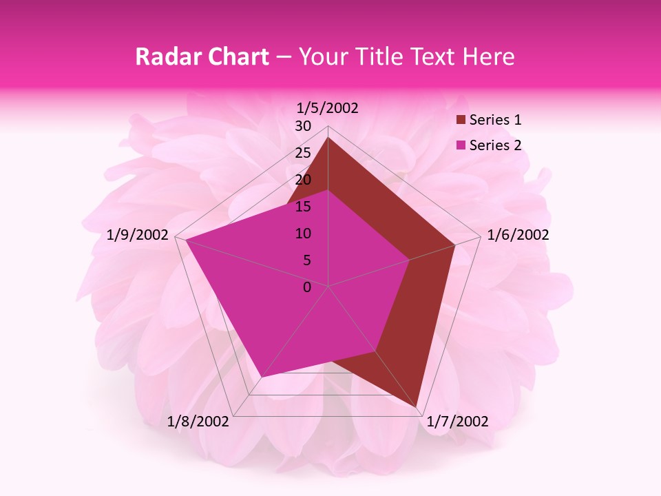 A Large Pink Flower On A White Background PowerPoint Template