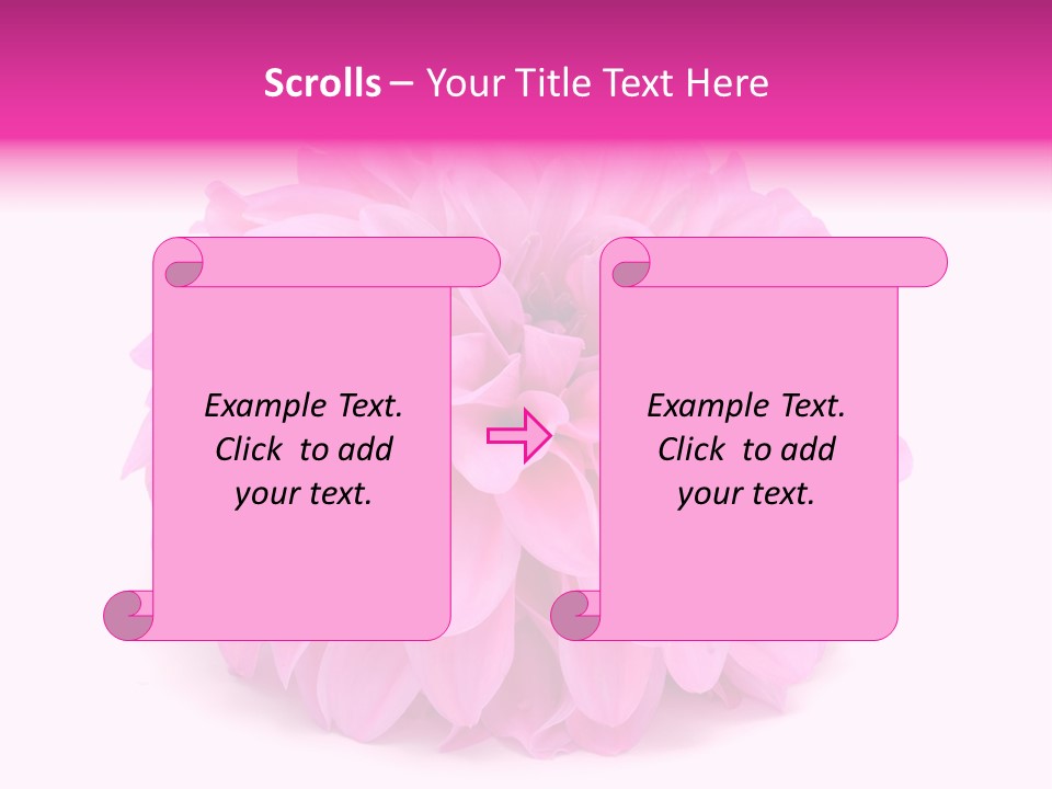 A Large Pink Flower On A White Background PowerPoint Template