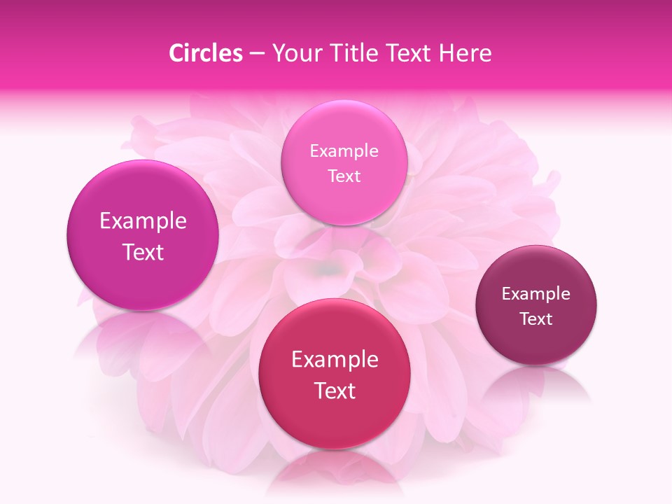 A Large Pink Flower On A White Background PowerPoint Template