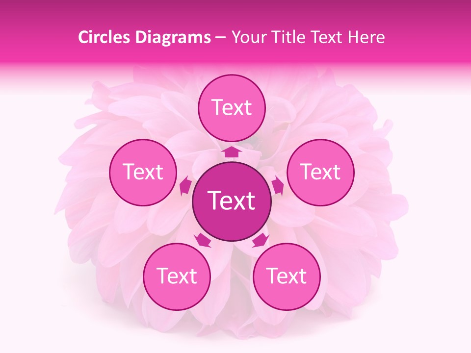 A Large Pink Flower On A White Background PowerPoint Template