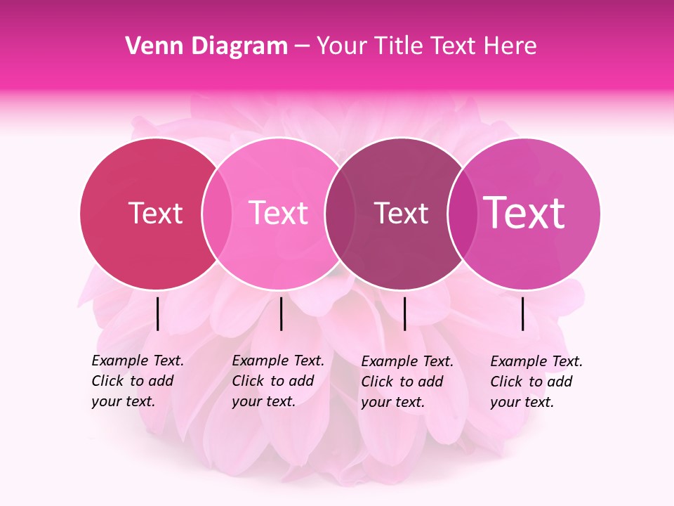 A Large Pink Flower On A White Background PowerPoint Template