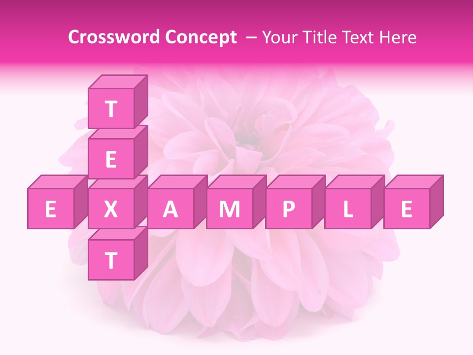 A Large Pink Flower On A White Background PowerPoint Template
