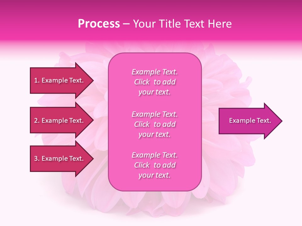 A Large Pink Flower On A White Background PowerPoint Template