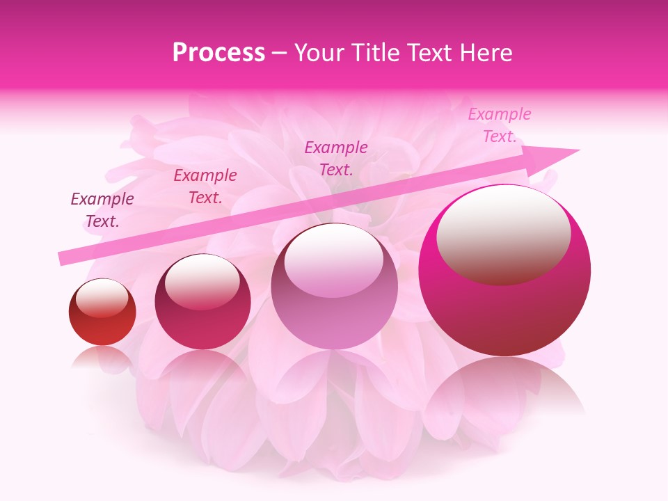 A Large Pink Flower On A White Background PowerPoint Template