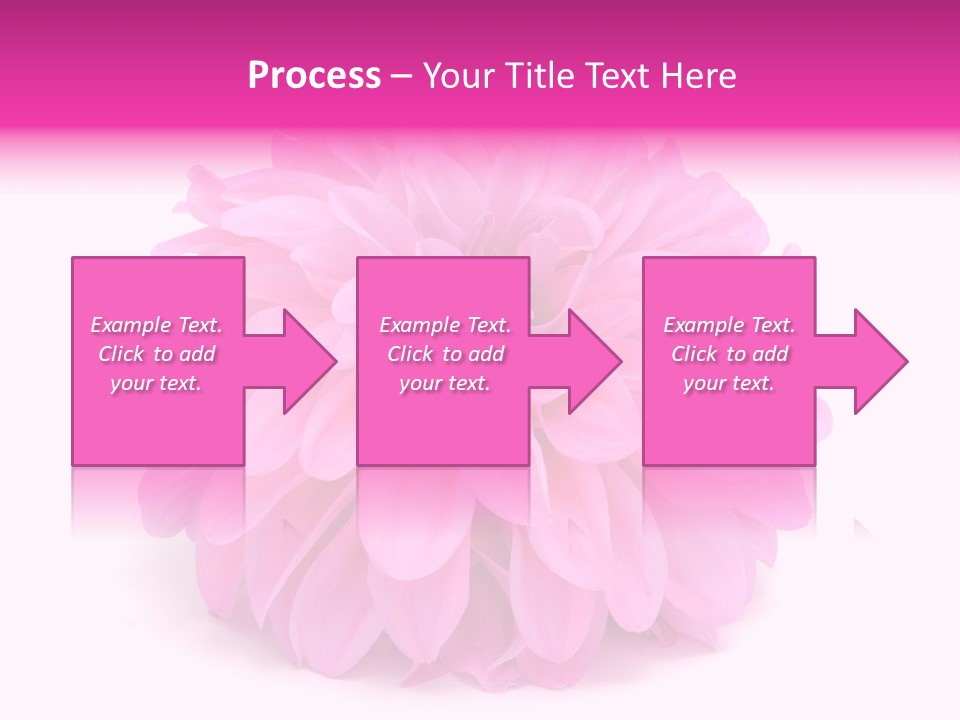 A Large Pink Flower On A White Background PowerPoint Template