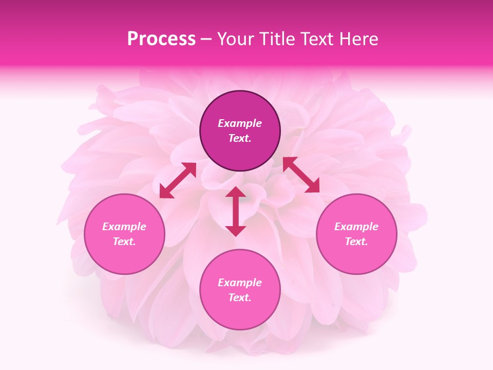 A Large Pink Flower On A White Background PowerPoint Template