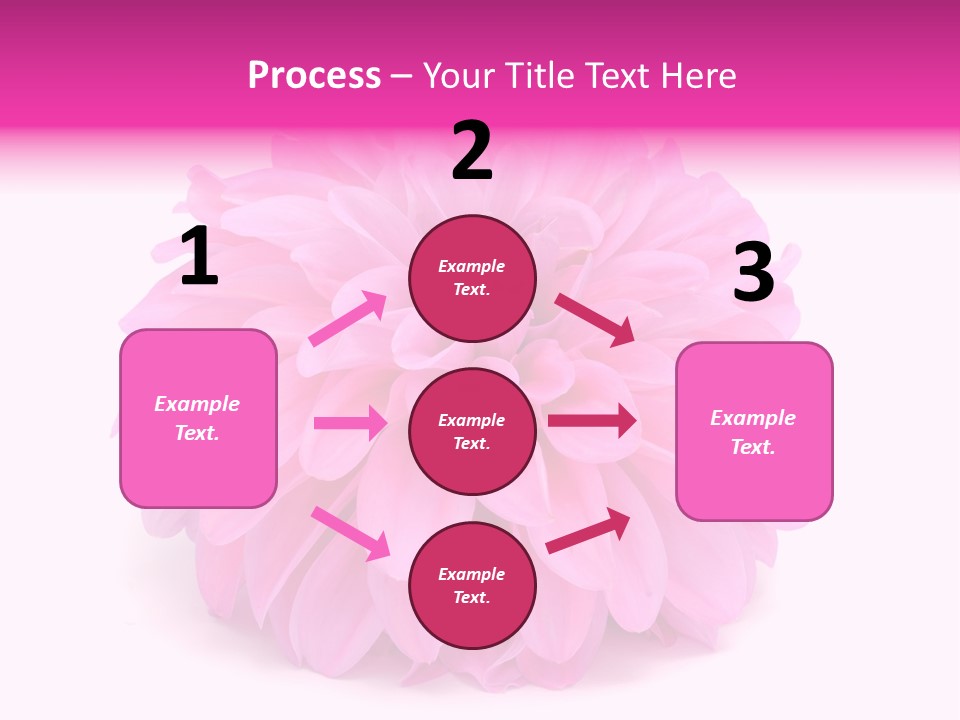 A Large Pink Flower On A White Background PowerPoint Template