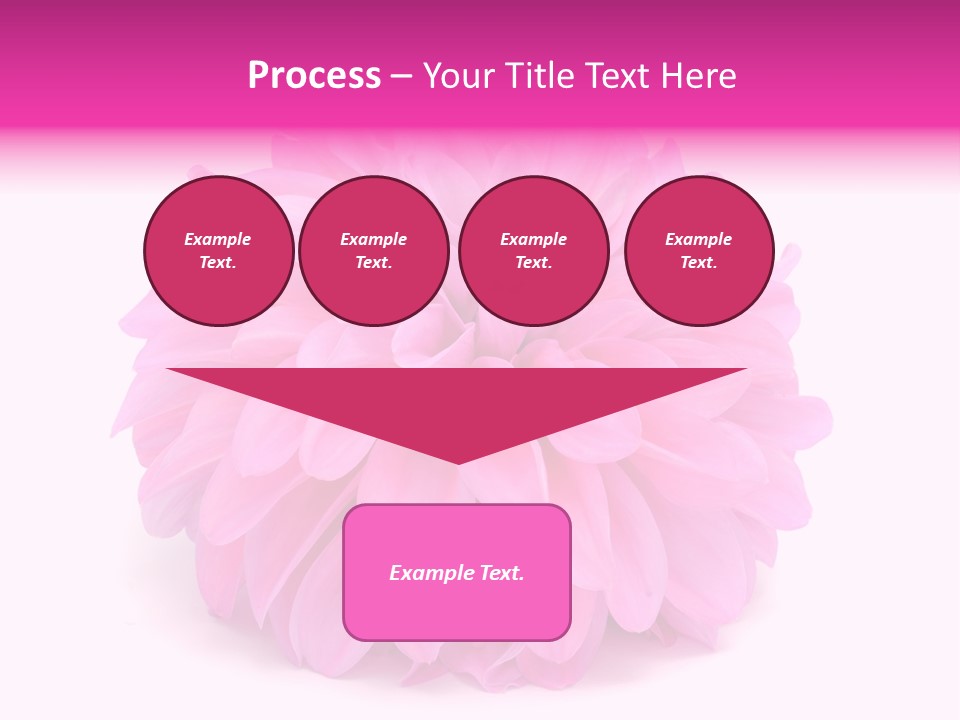A Large Pink Flower On A White Background PowerPoint Template