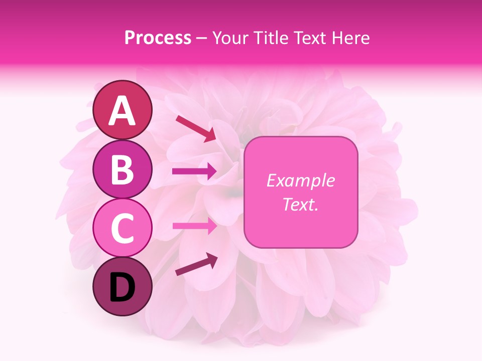 A Large Pink Flower On A White Background PowerPoint Template