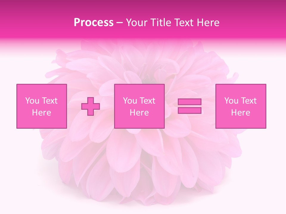 A Large Pink Flower On A White Background PowerPoint Template