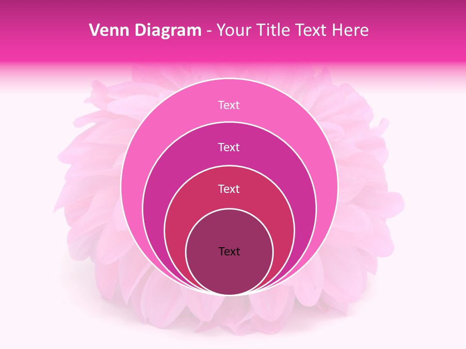 A Large Pink Flower On A White Background PowerPoint Template