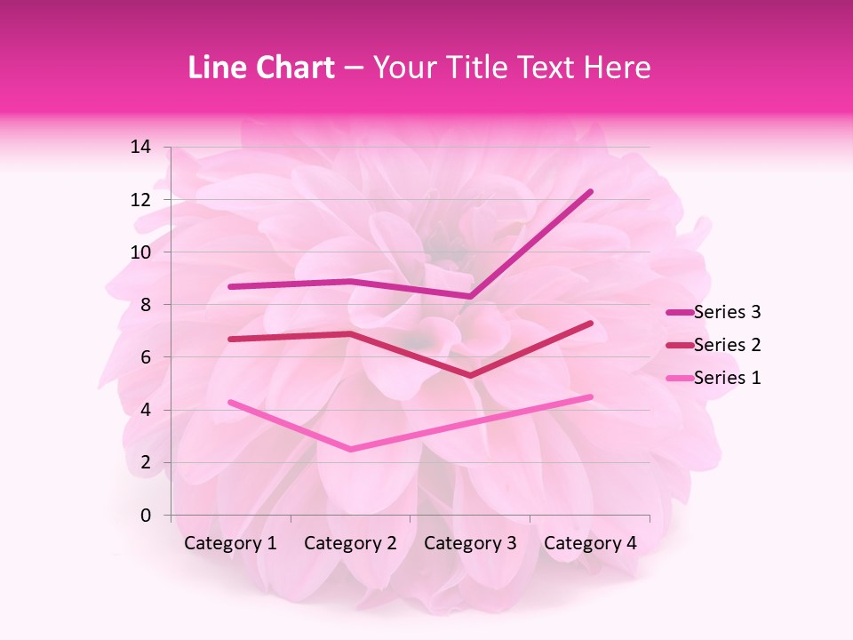 A Large Pink Flower On A White Background PowerPoint Template