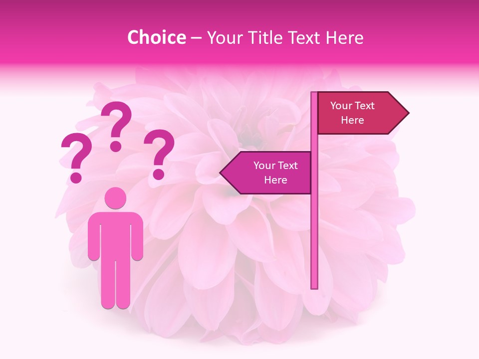 A Large Pink Flower On A White Background PowerPoint Template