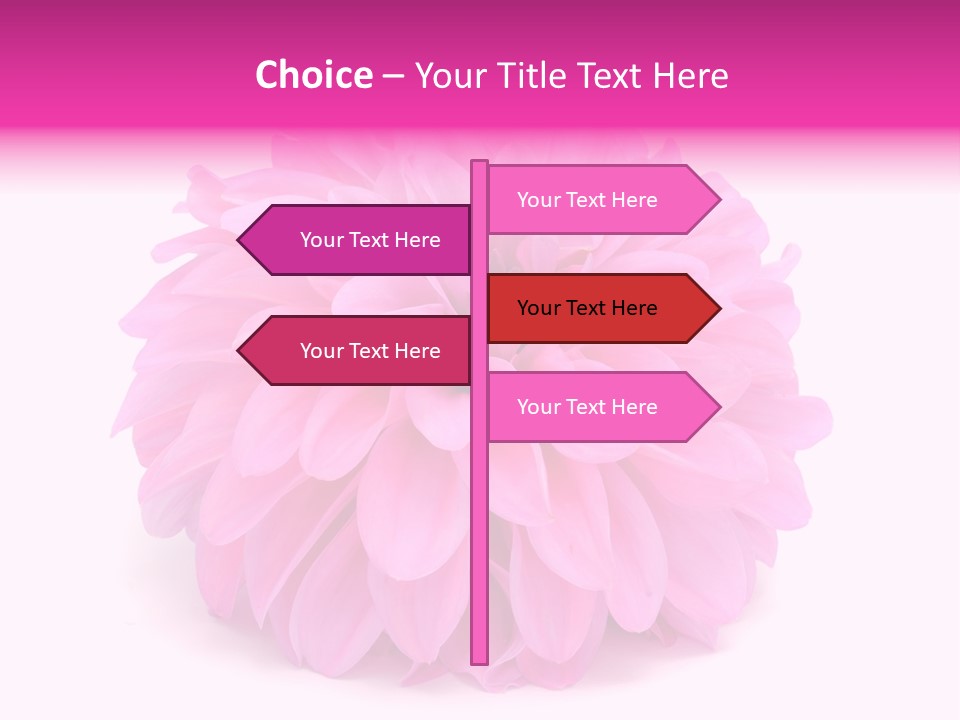 A Large Pink Flower On A White Background PowerPoint Template