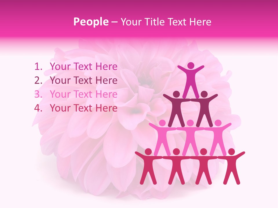 A Large Pink Flower On A White Background PowerPoint Template
