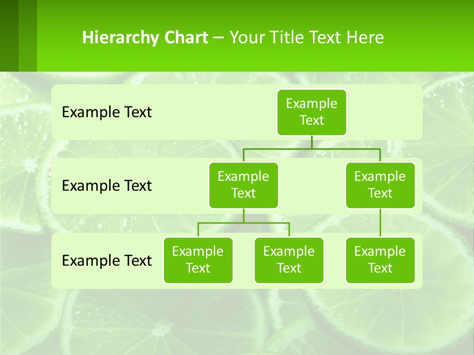 A Group Of Limes With Water Droplets On Them PowerPoint Template