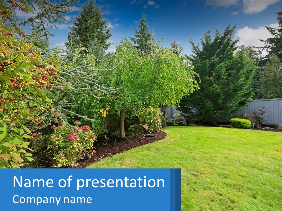A Yard With A Fence And Trees In The Background PowerPoint Template