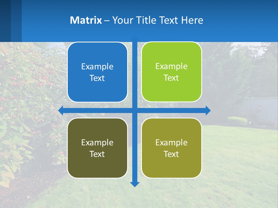 A Yard With A Fence And Trees In The Background PowerPoint Template