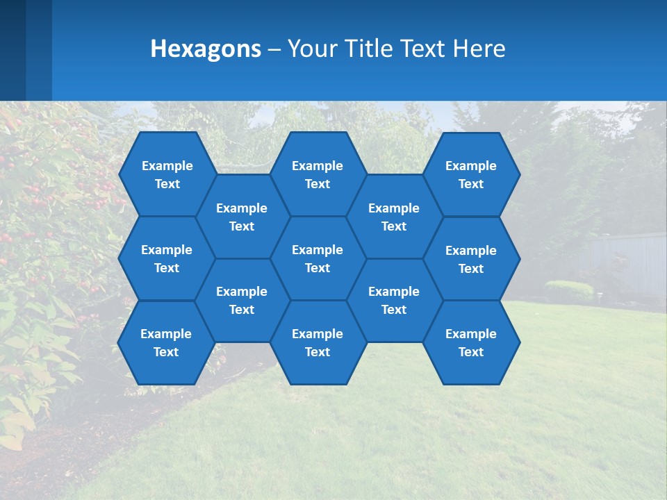 A Yard With A Fence And Trees In The Background PowerPoint Template