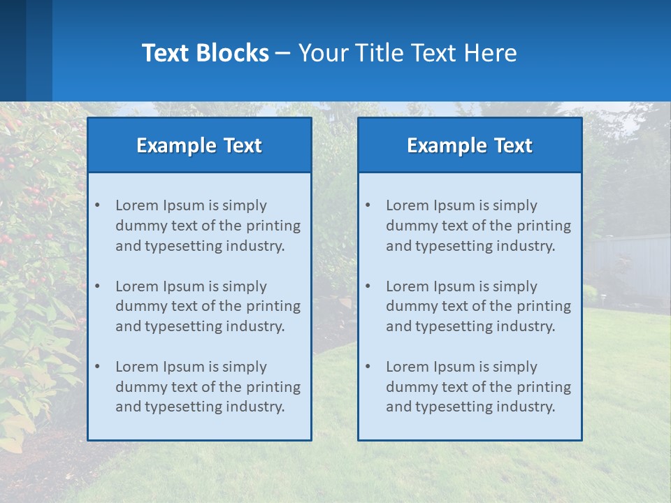 A Yard With A Fence And Trees In The Background PowerPoint Template