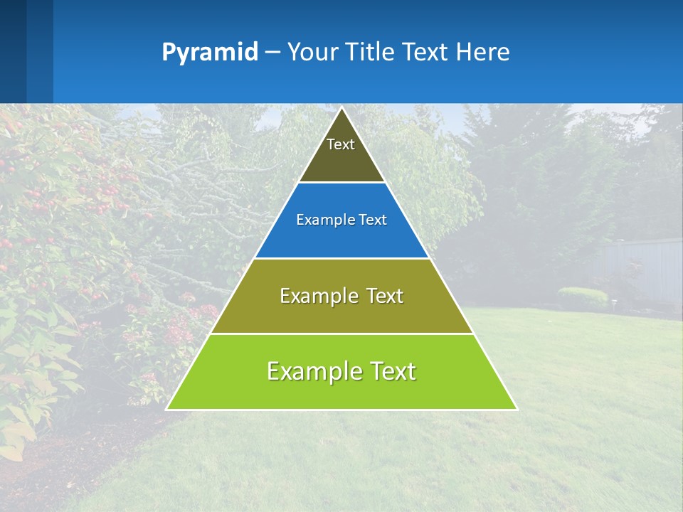 A Yard With A Fence And Trees In The Background PowerPoint Template